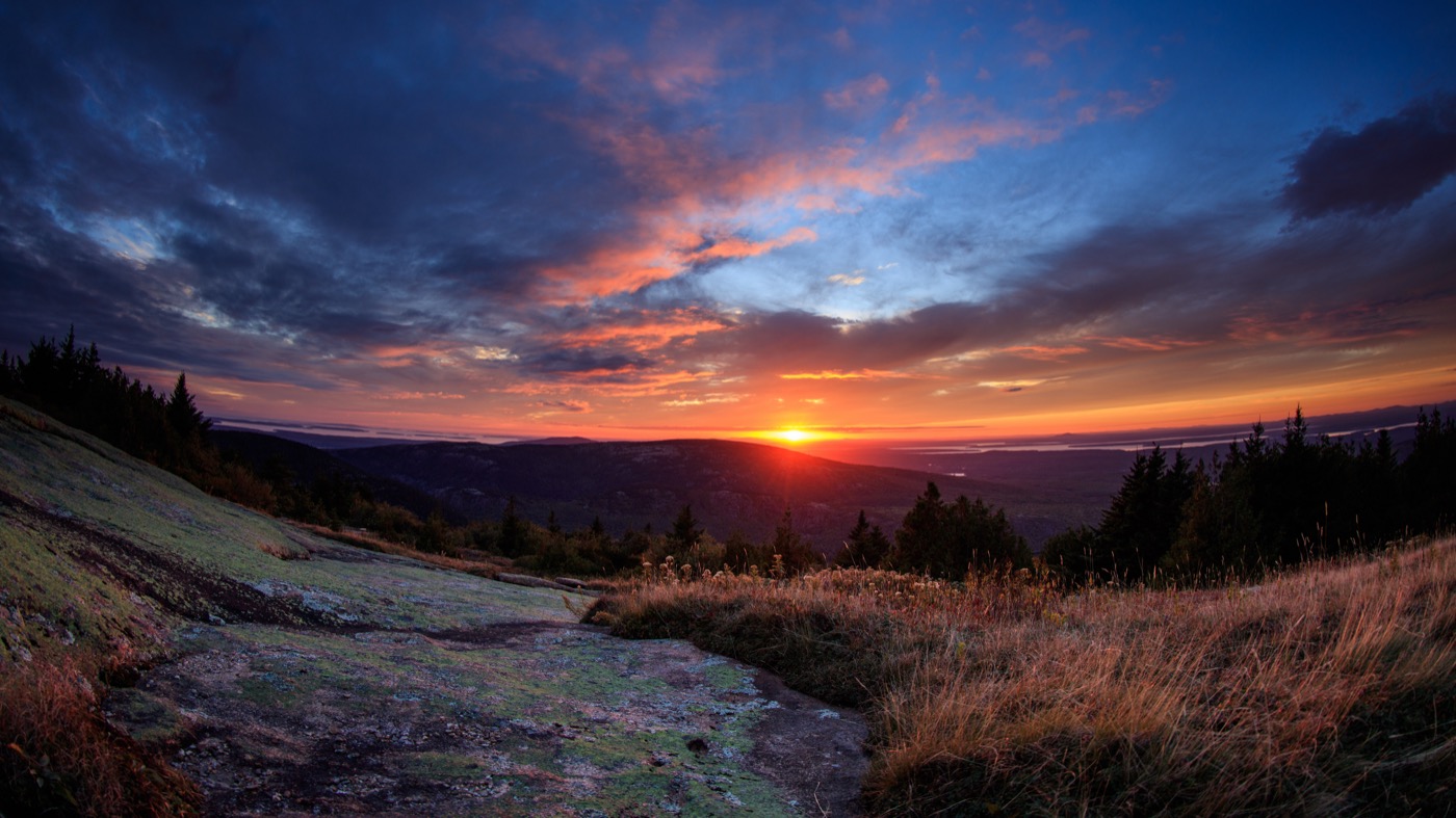 Dog-friendly national parks