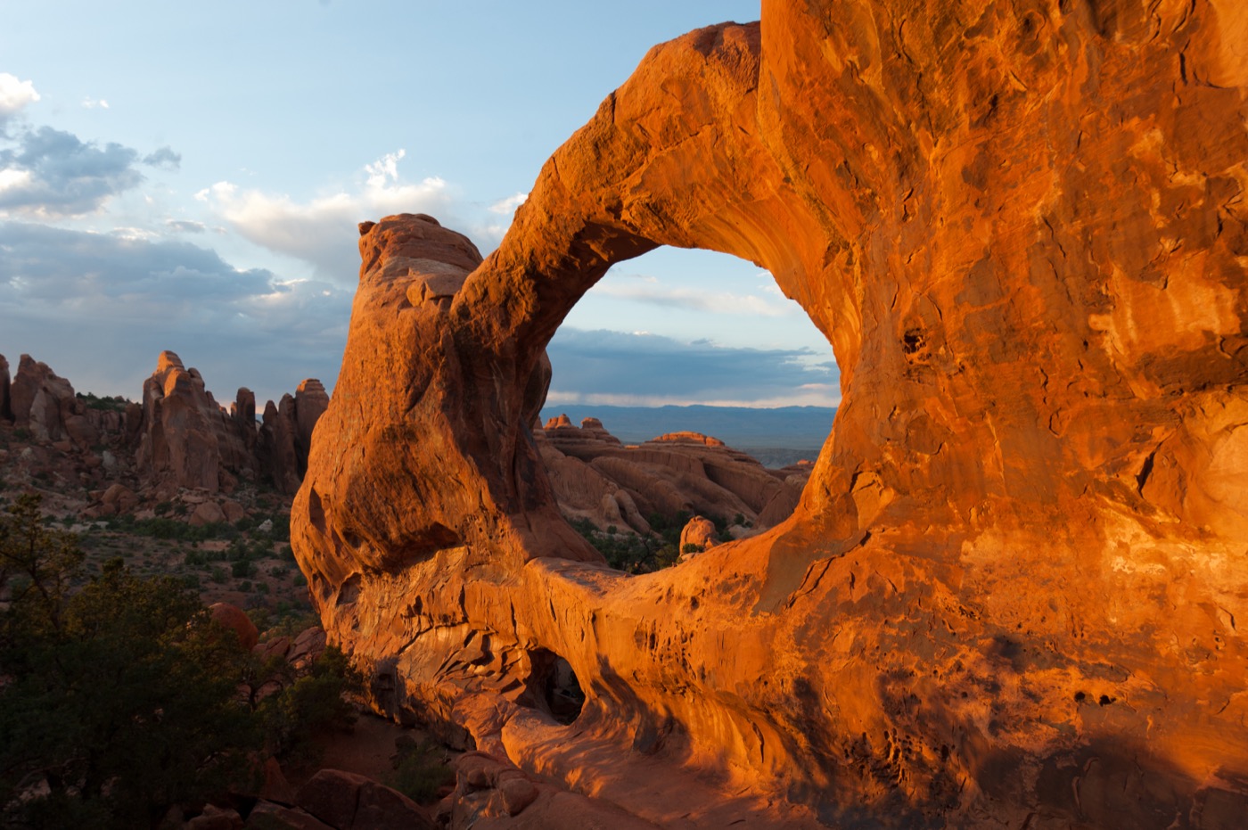 Is Arches National Park Dog-Friendly?