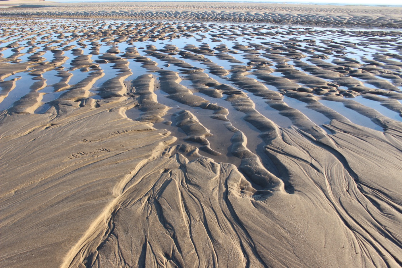 What to See at Cape Cod National Seashore