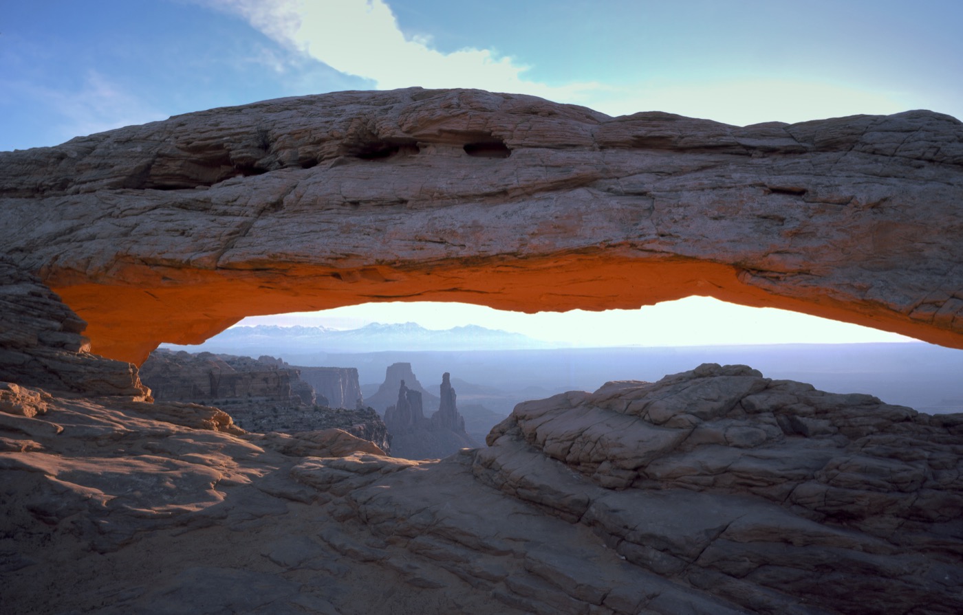 Is Canyonlands Dog-Friendly?