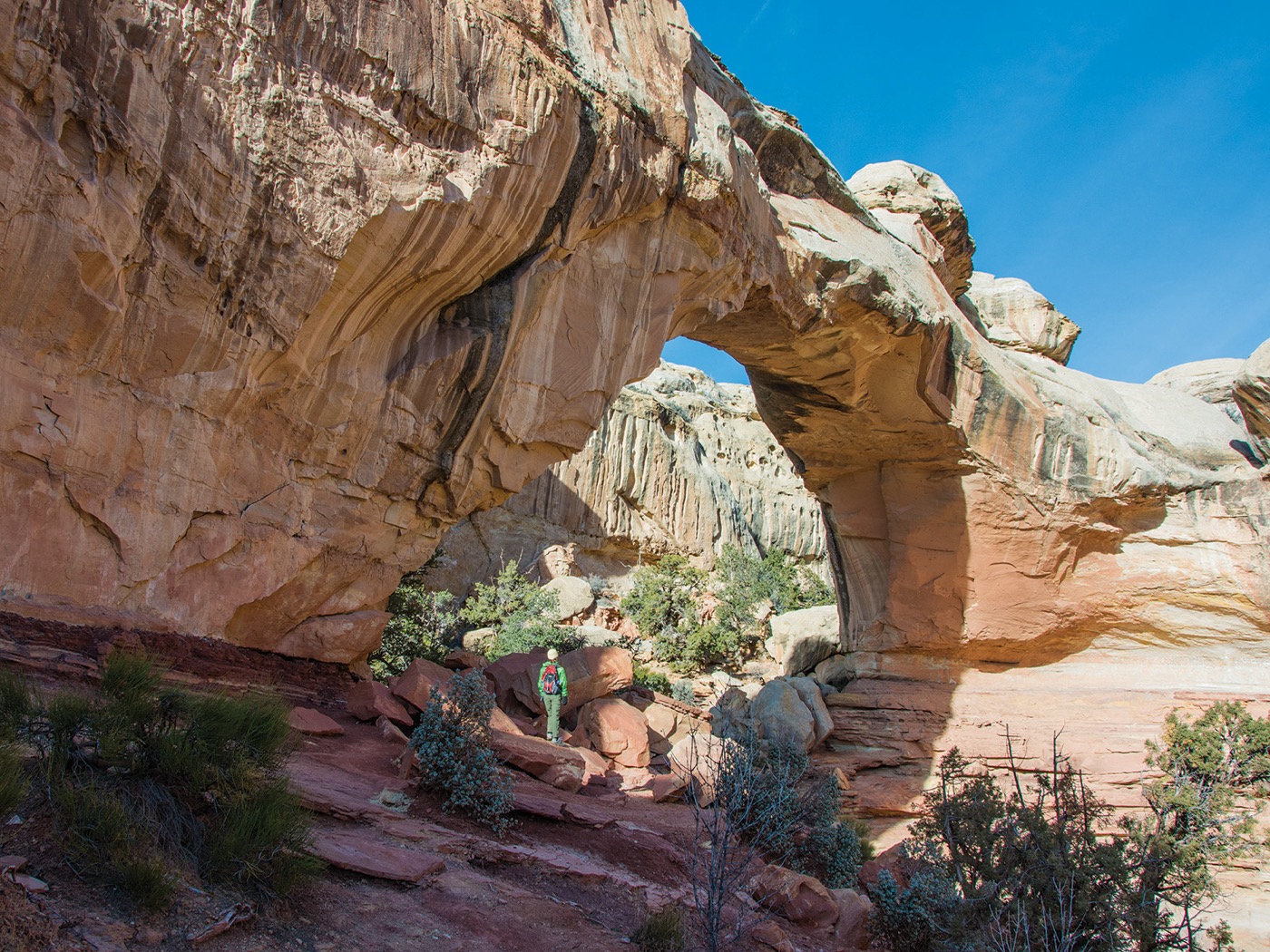 Is Capitol Reef Dog-Friendly?
