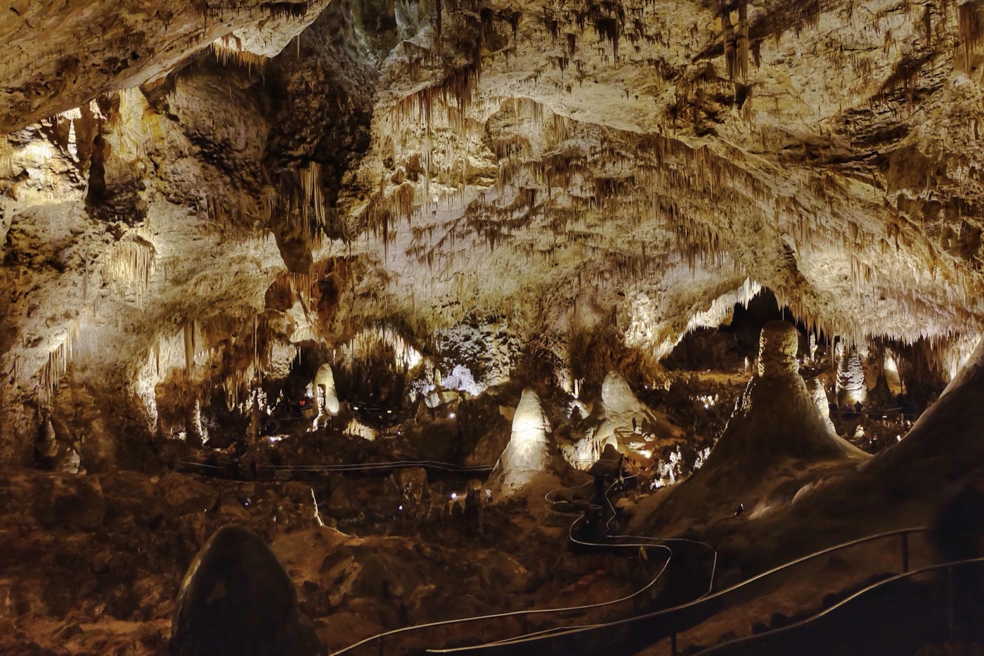 What to See at Carlsbad Caverns