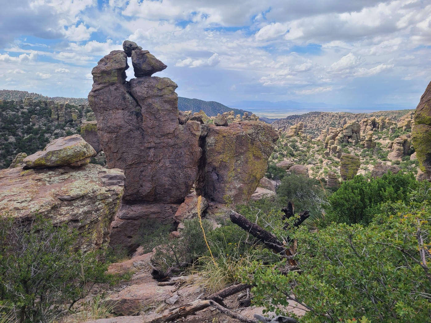 What to See at Chiricahua