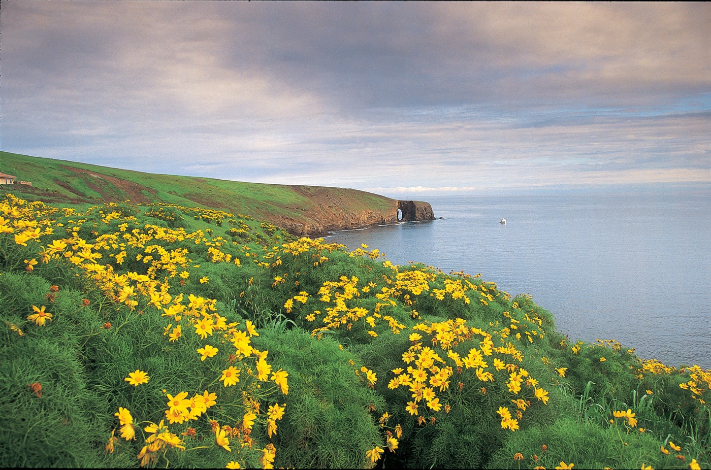 One Day in Channel Islands National Park