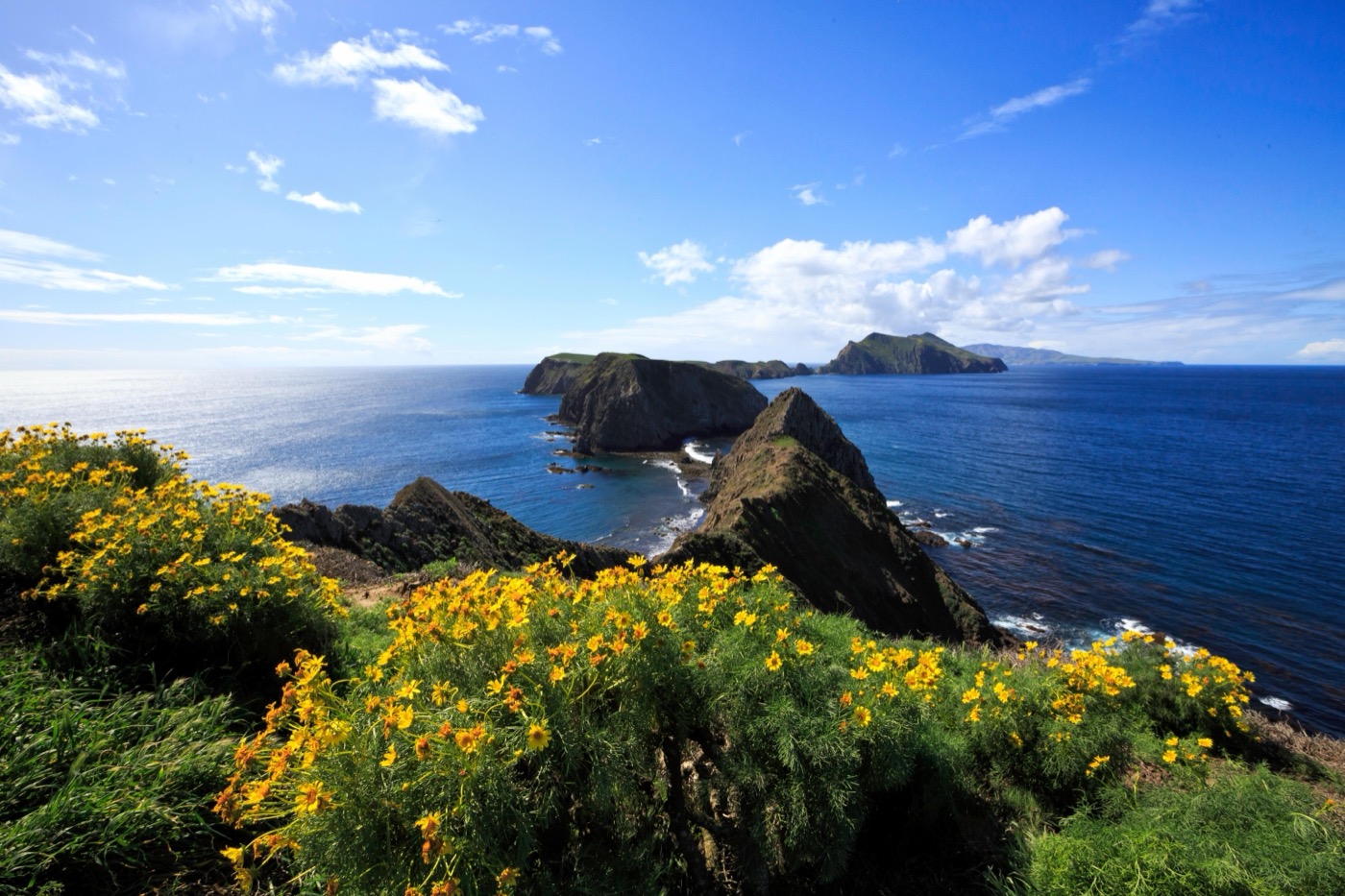One Day in Channel Islands