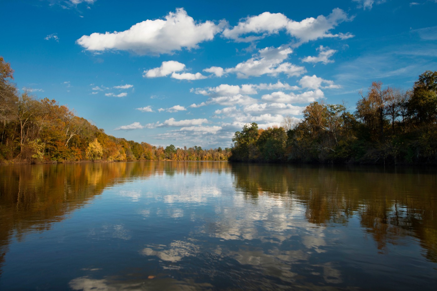 Is Congaree National Park Worth Visiting? A Practical Guide