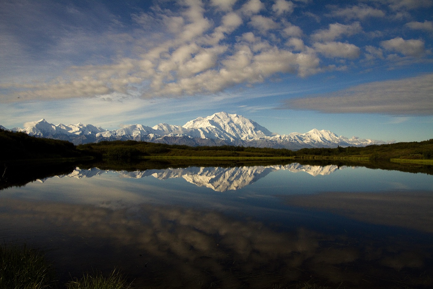 A First-Timer's Guide to Denali National Park