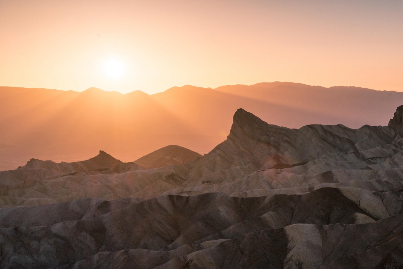 Is Death Valley Dog-Friendly?