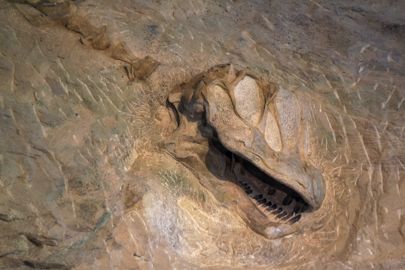 What to See at Dinosaur National Monument