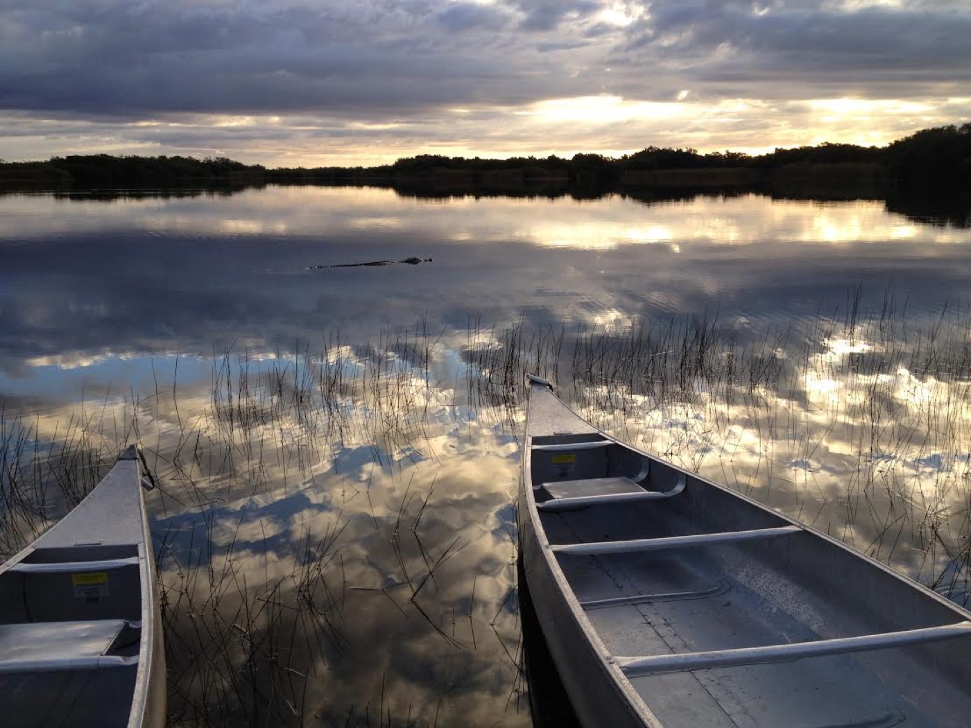 A First-Timer's Guide to the Everglades