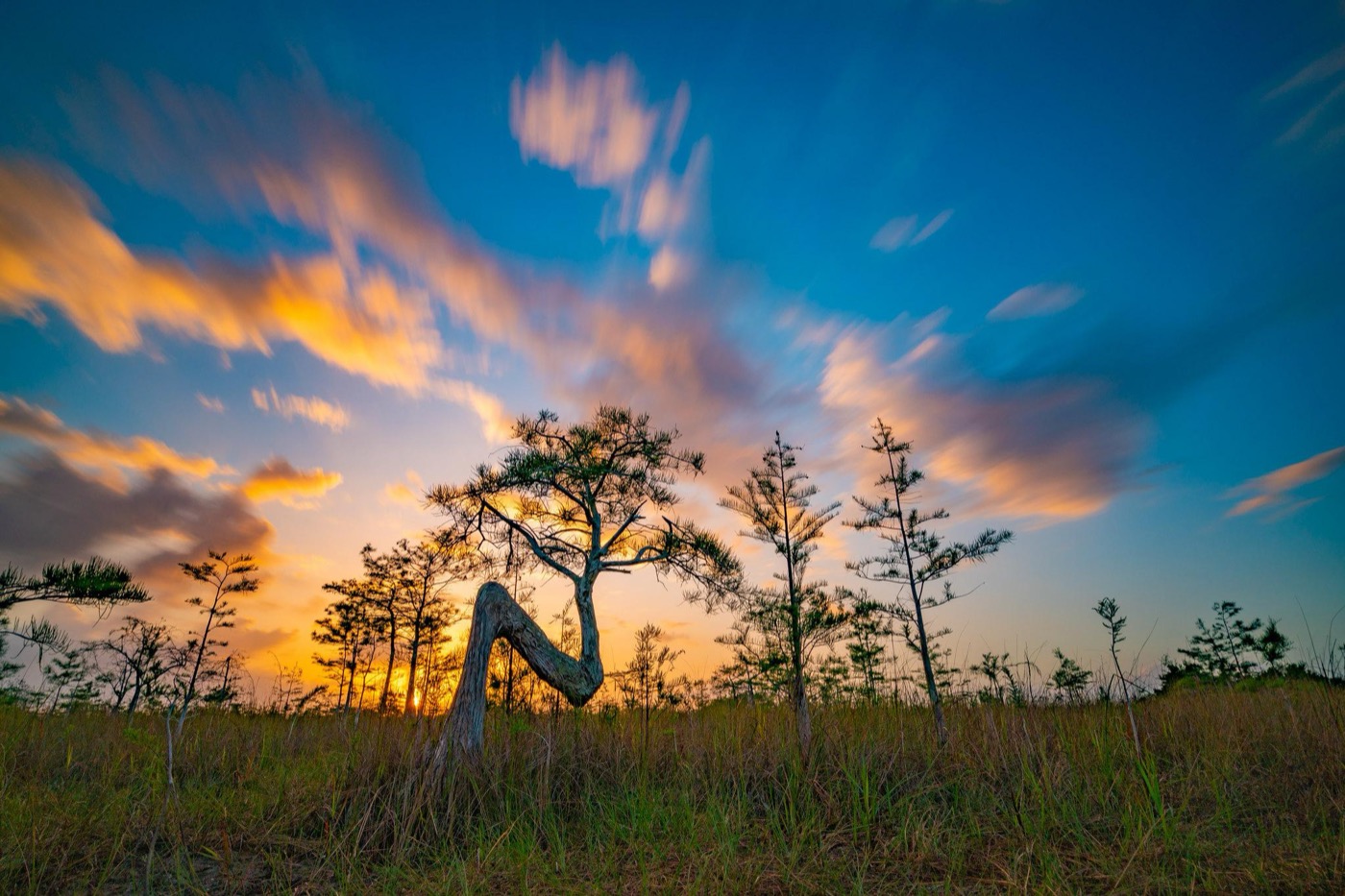 A First-Timer's Guide to Everglades