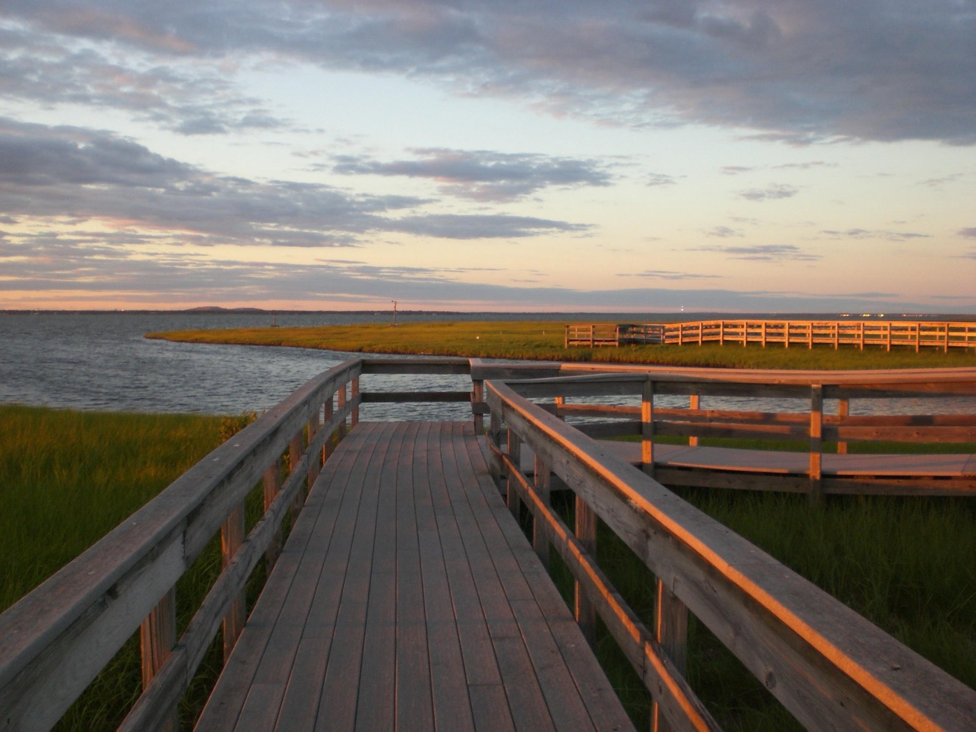 What to See at Fire Island