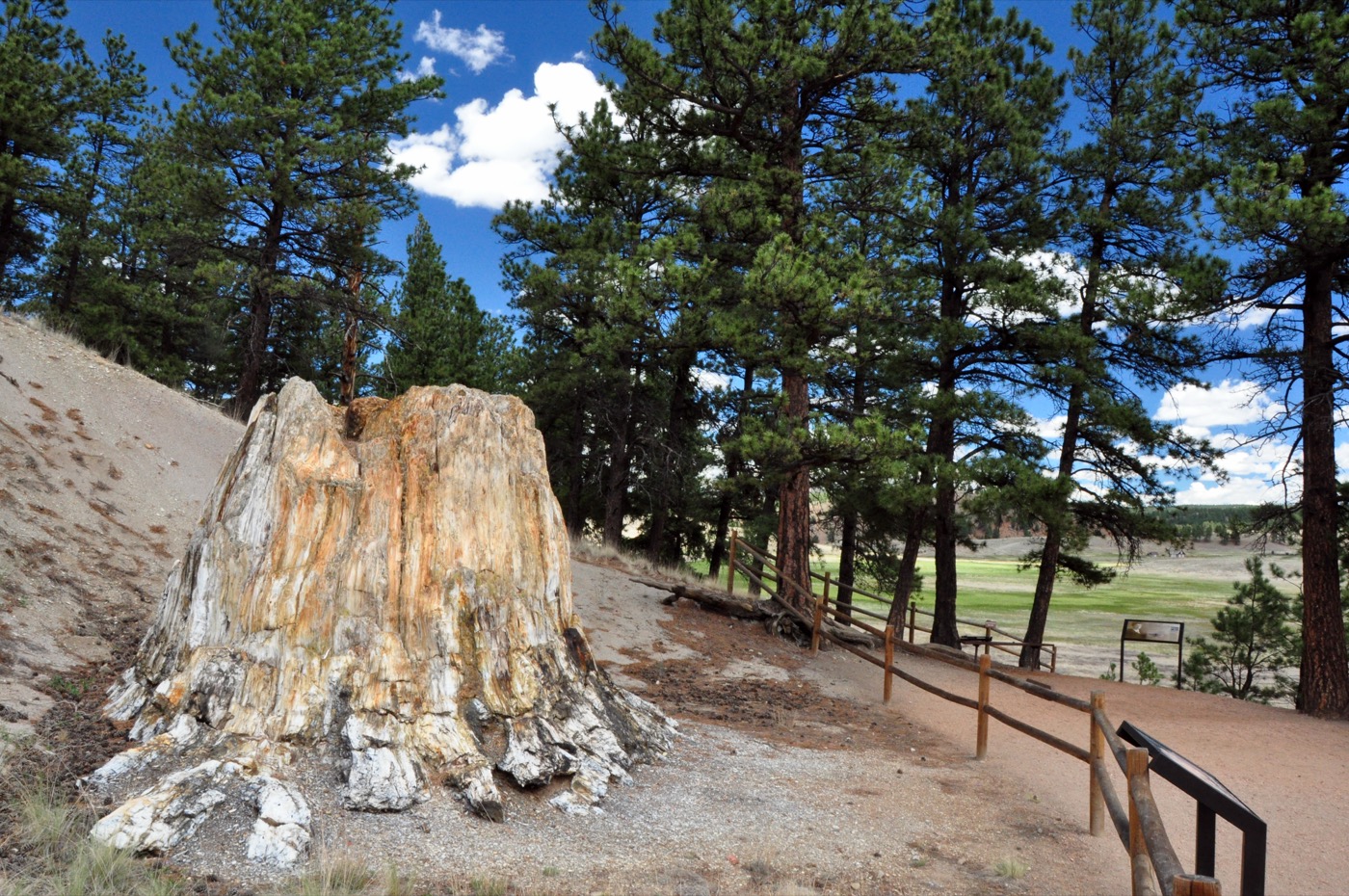Is Florissant Fossil Beds Worth Visiting?