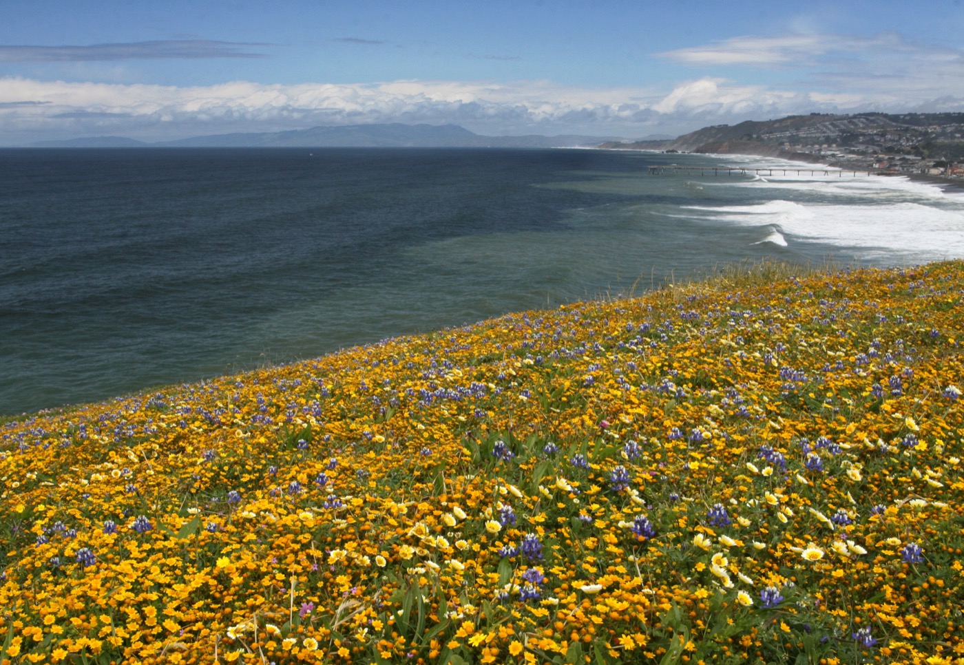 What to See at the Golden Gate