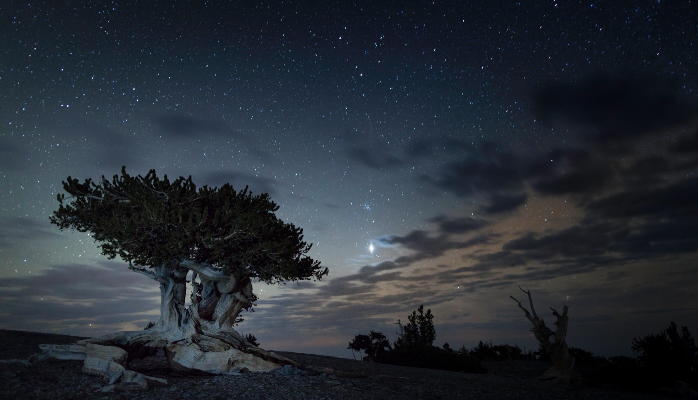 Great Basin National Park: A First-Timer's Guide