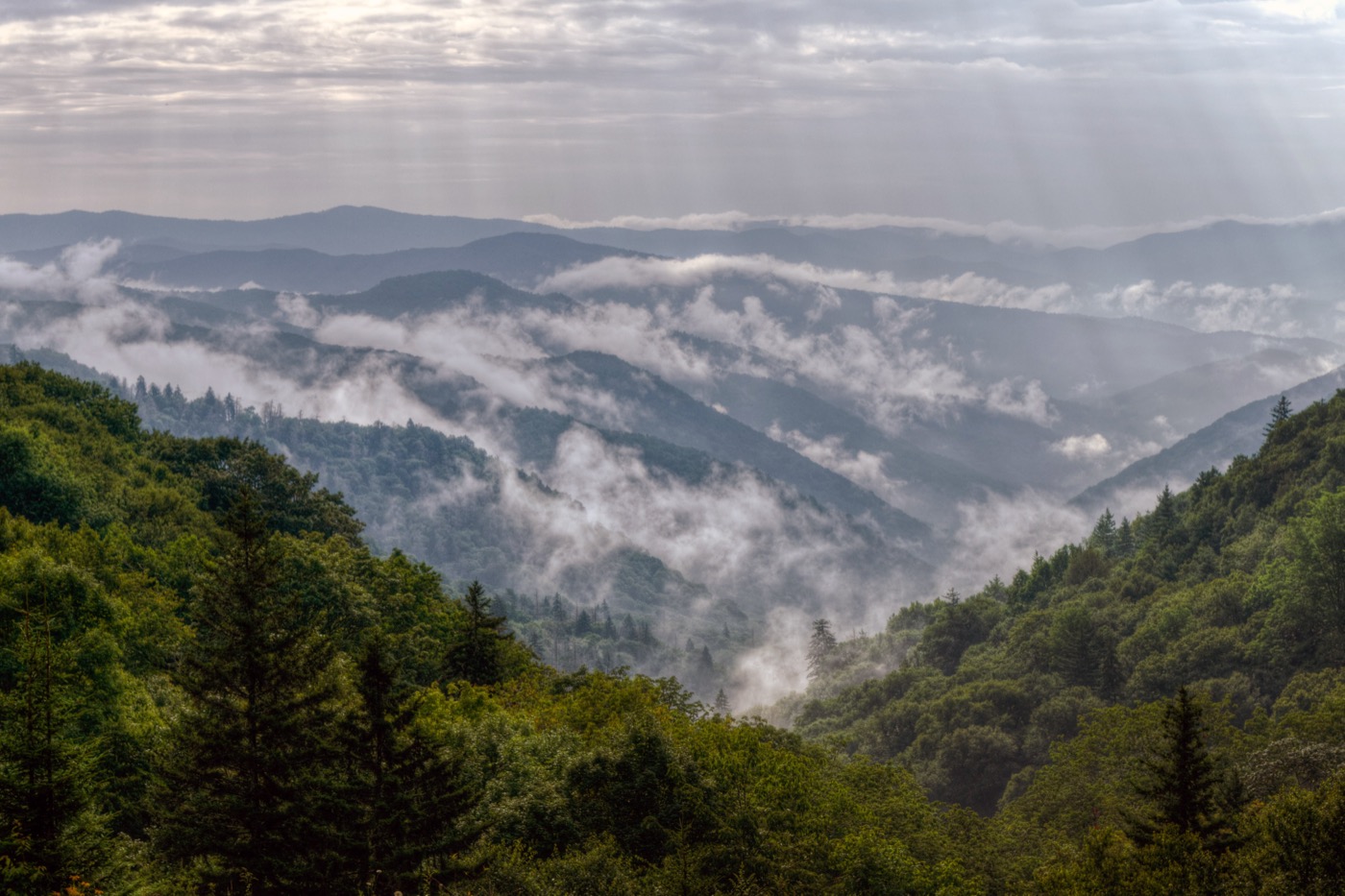 Great Smoky Mountains With Kids