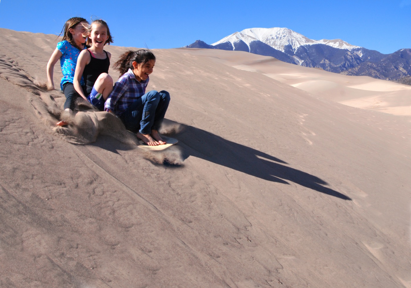 Is Great Sand Dunes Dog-Friendly?