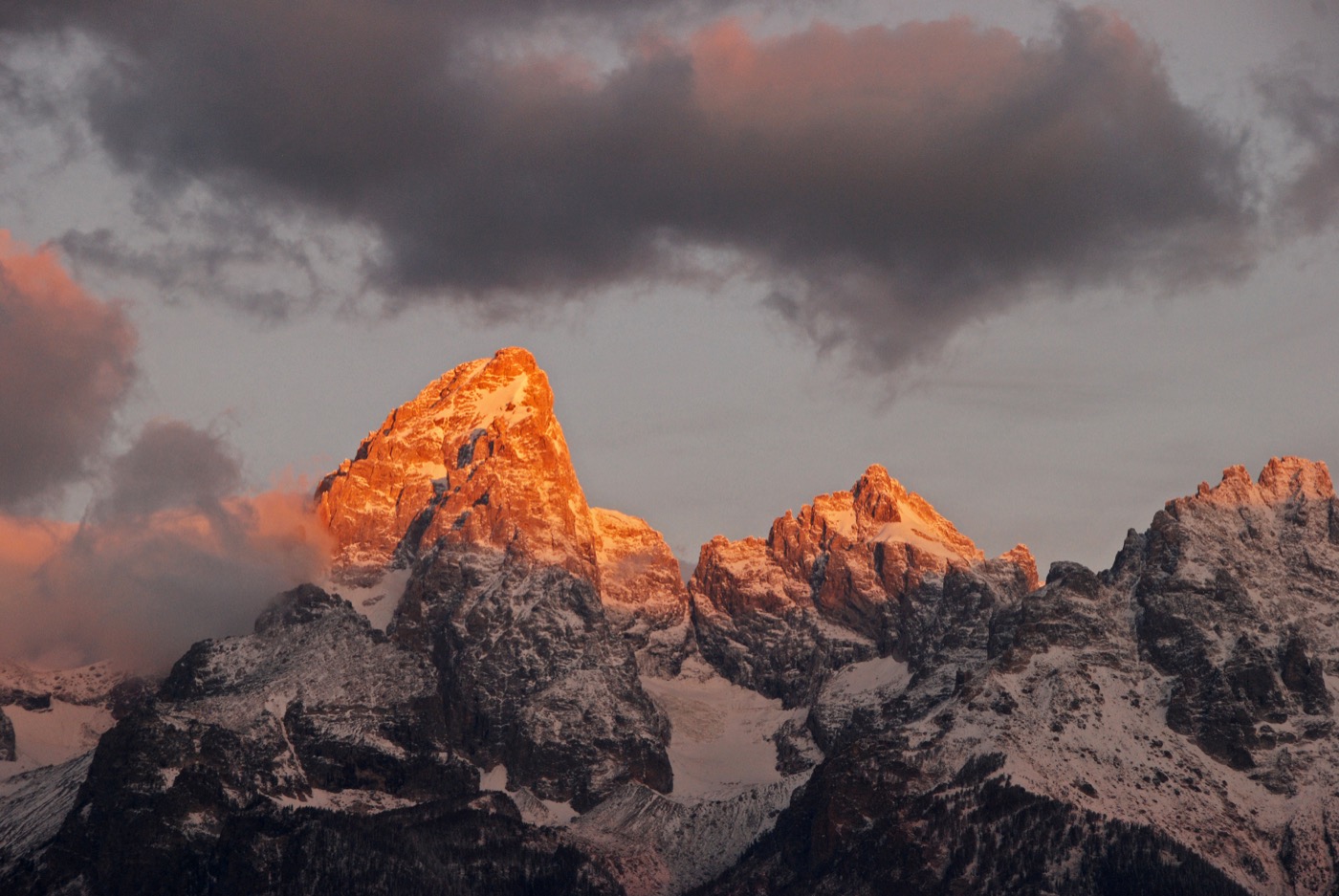 Is Grand Teton National Park Dog-Friendly?