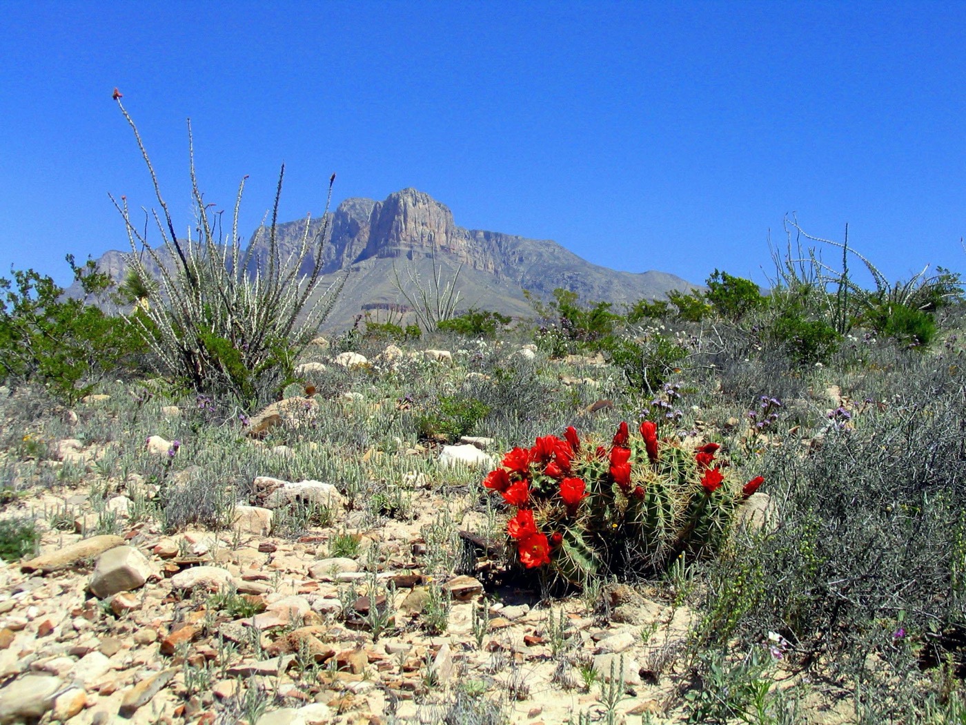Guadalupe Mountains + Carlsbad Caverns in 2 Days