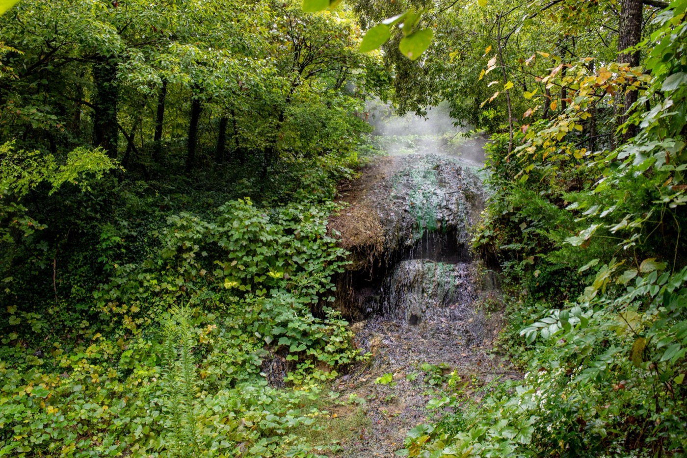 One Day in Hot Springs National Park