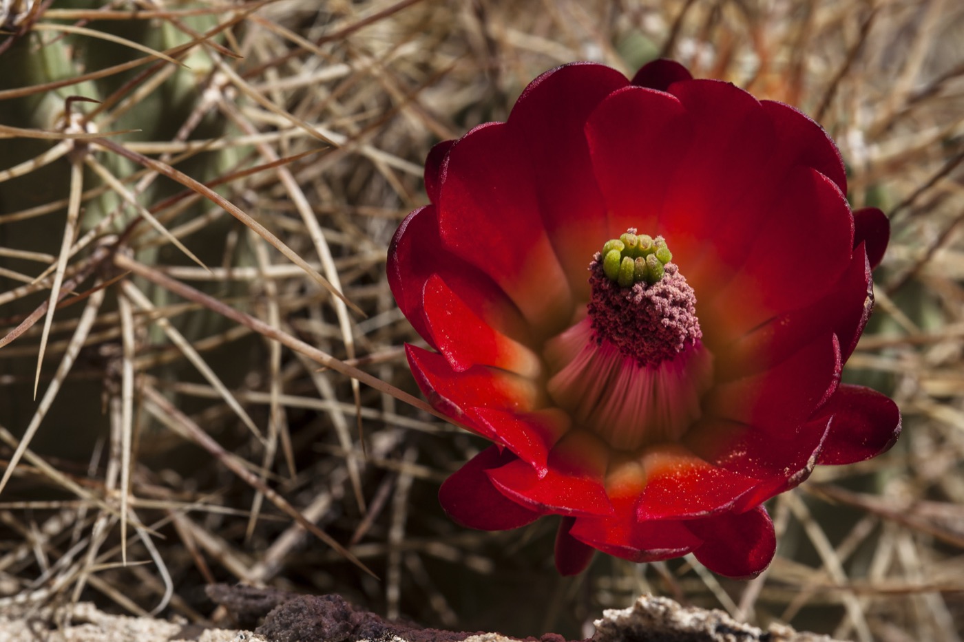 Is Hovenweep National Monument Worth Visiting?