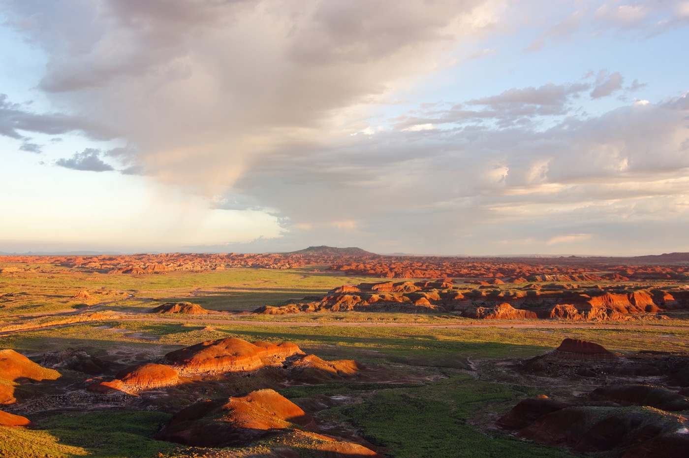 Is Petrified Forest Worth Visiting?