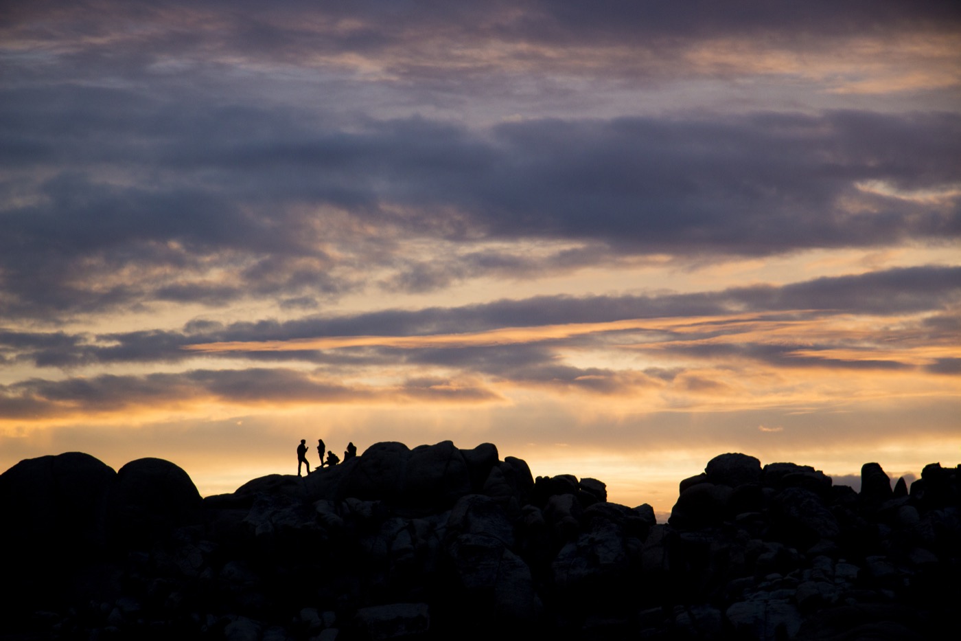 The Best Time to Visit Joshua Tree