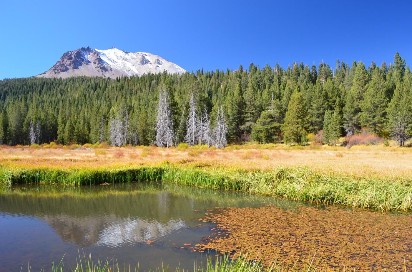 One Day in Lassen Volcanic National Park