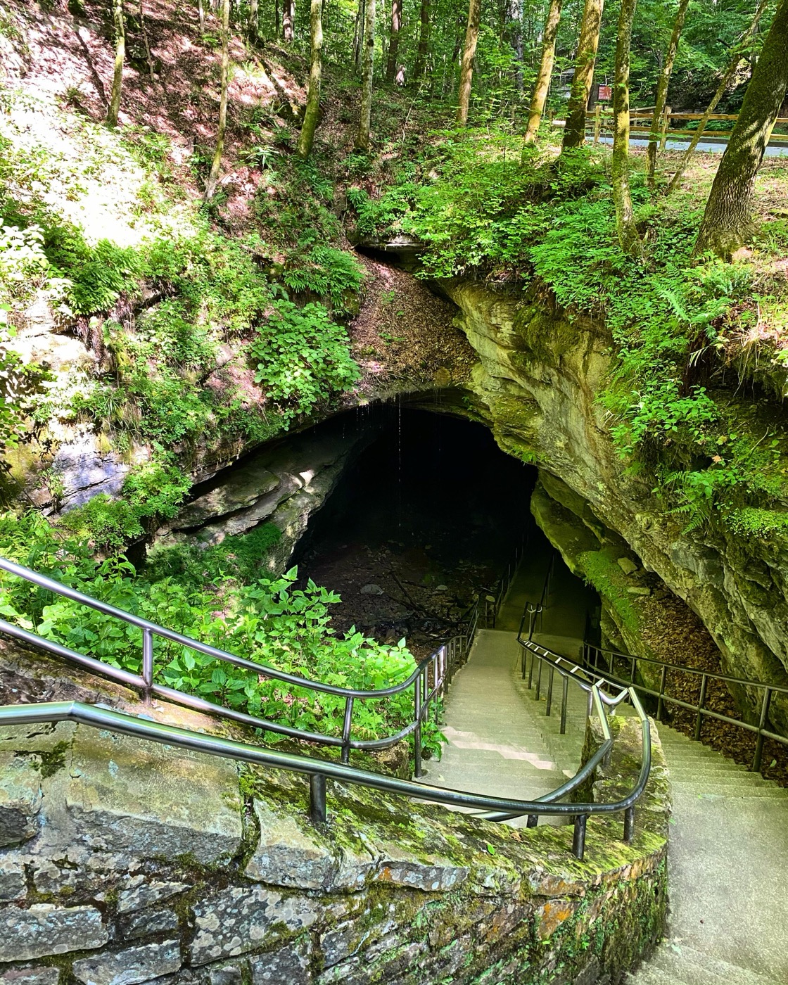 One Day in Mammoth Cave National Park