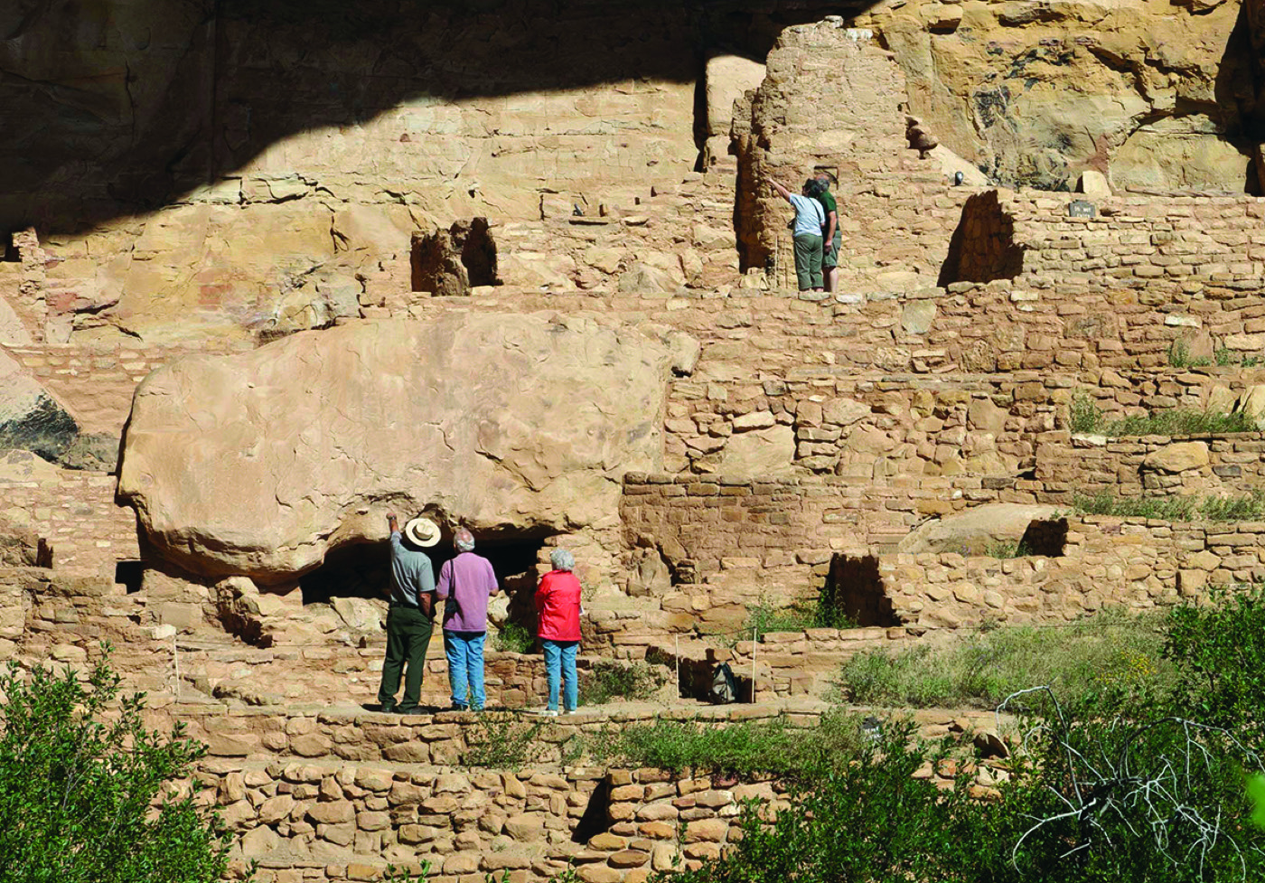 Is Mesa Verde Dog-Friendly?