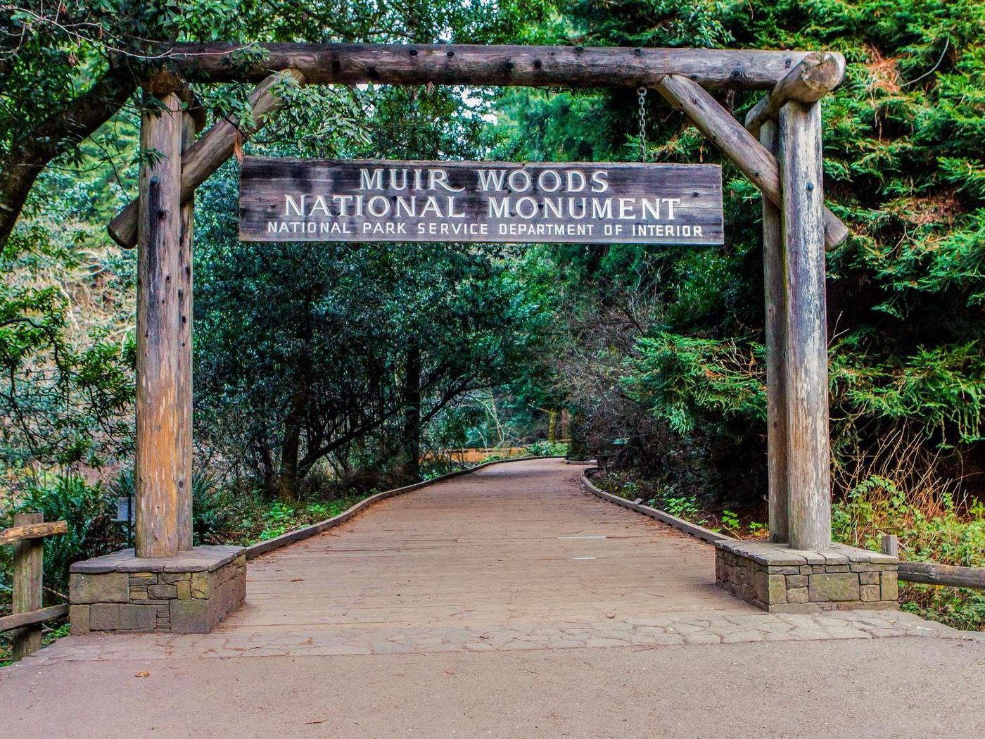 What to See at Muir Woods
