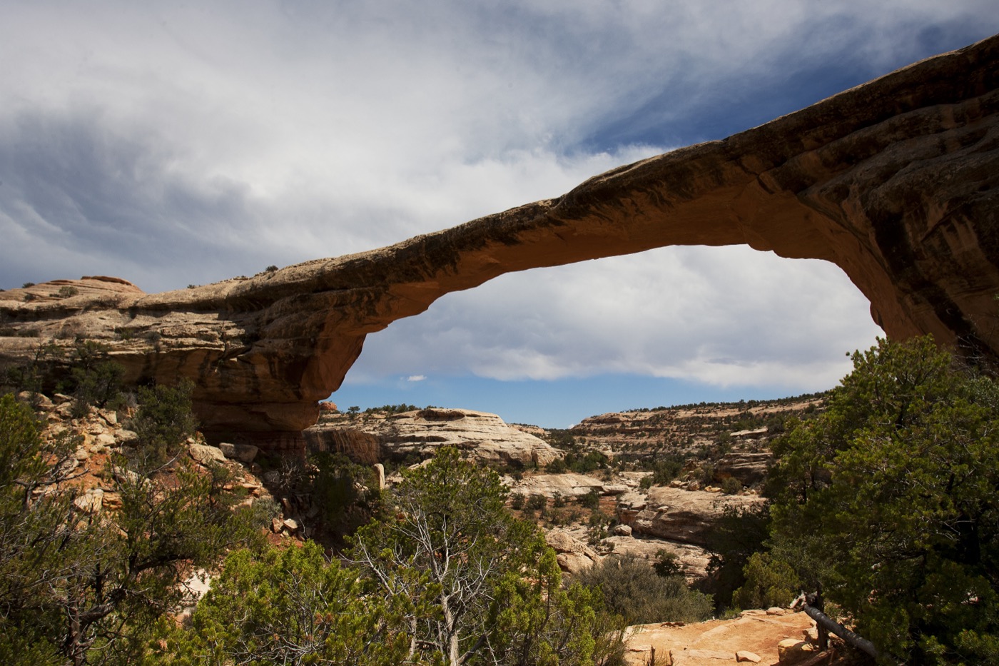 What to See at Natural Bridges National Monument