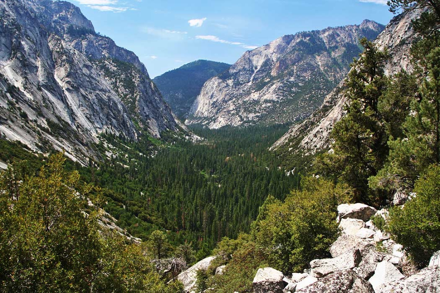 One Day in Sequoia National Park