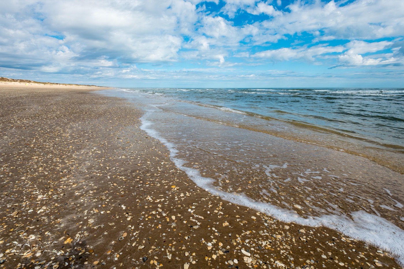 What to See at Padre Island National Seashore