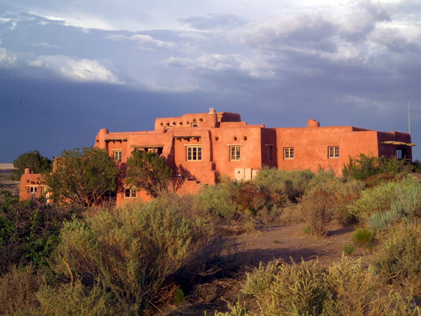 Is Petrified Forest Worth Visiting?