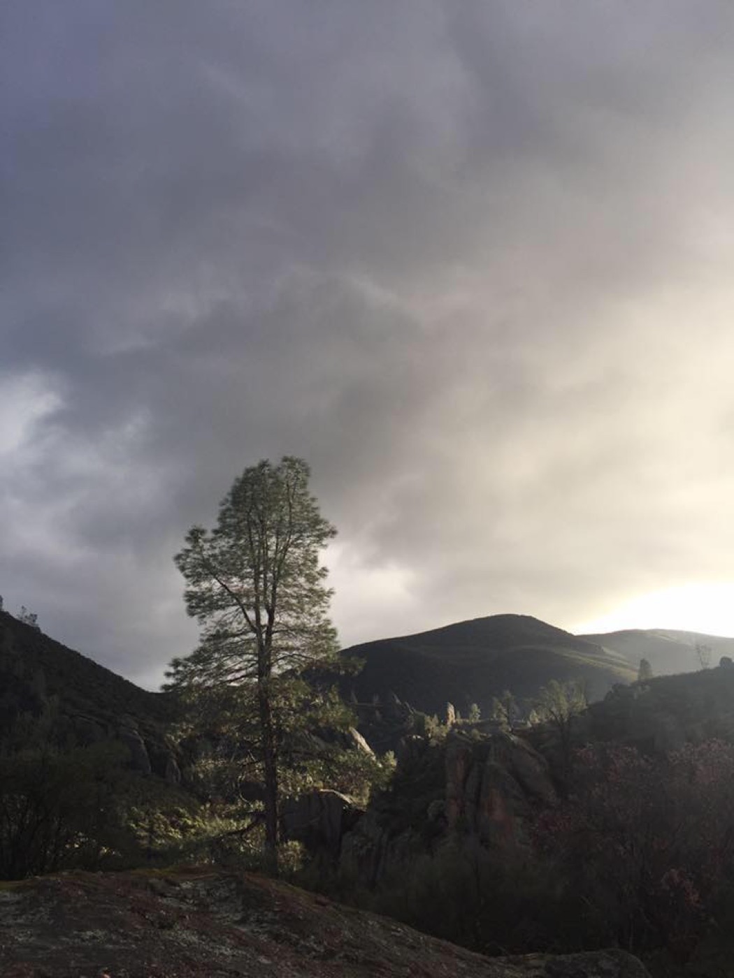 One Day at Pinnacles National Park