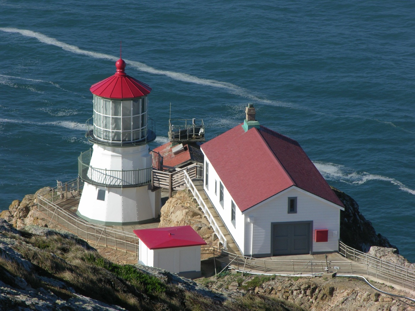 What to See at Point Reyes