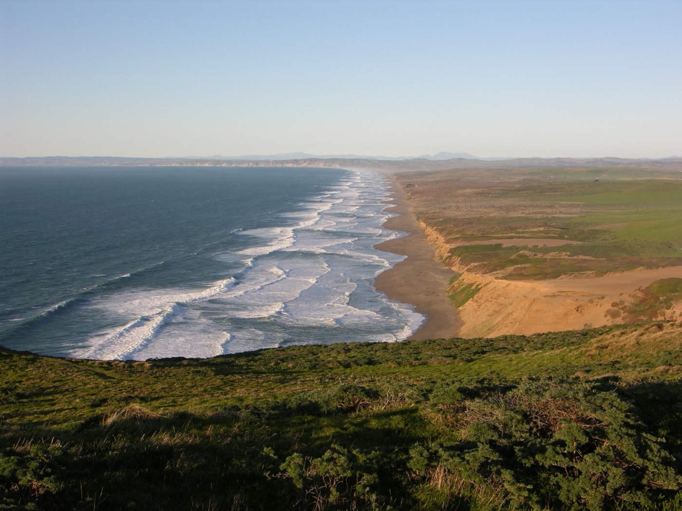 What to See at Point Reyes