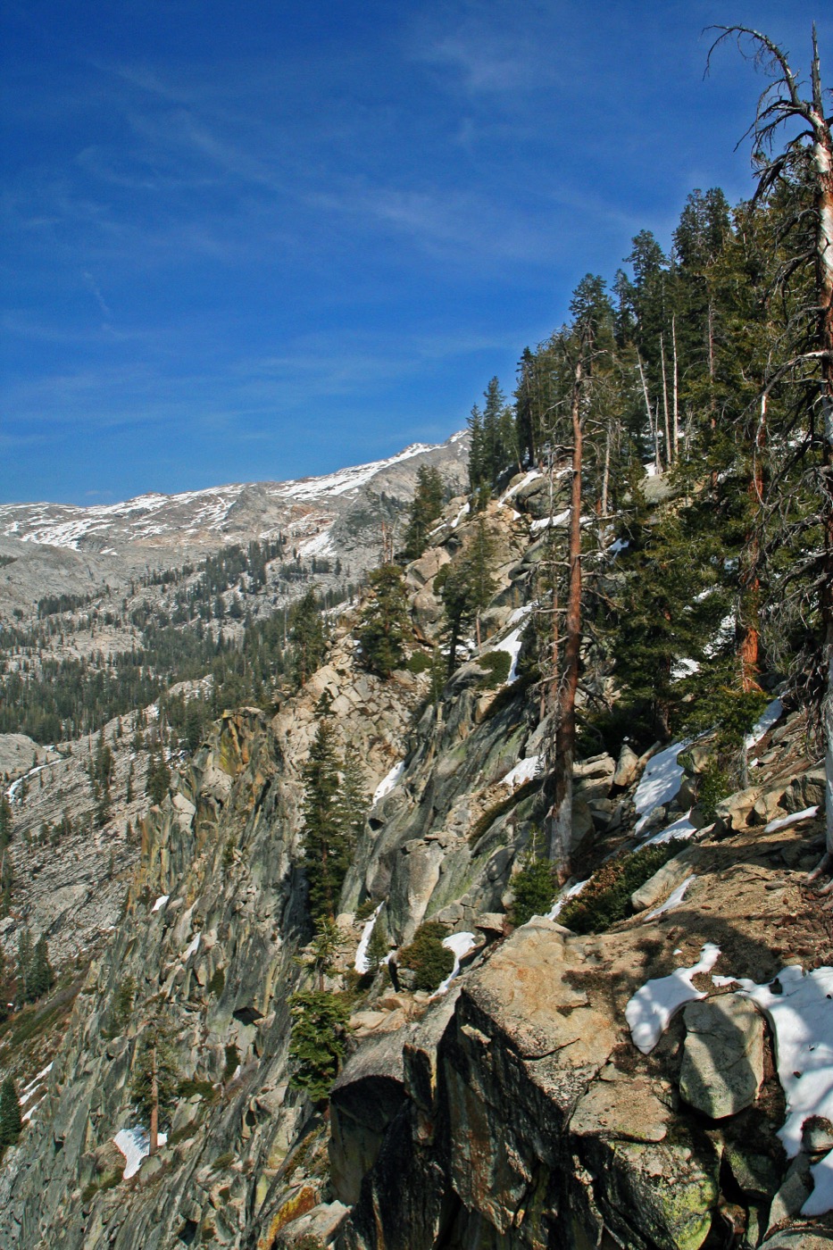 One Day in Sequoia National Park