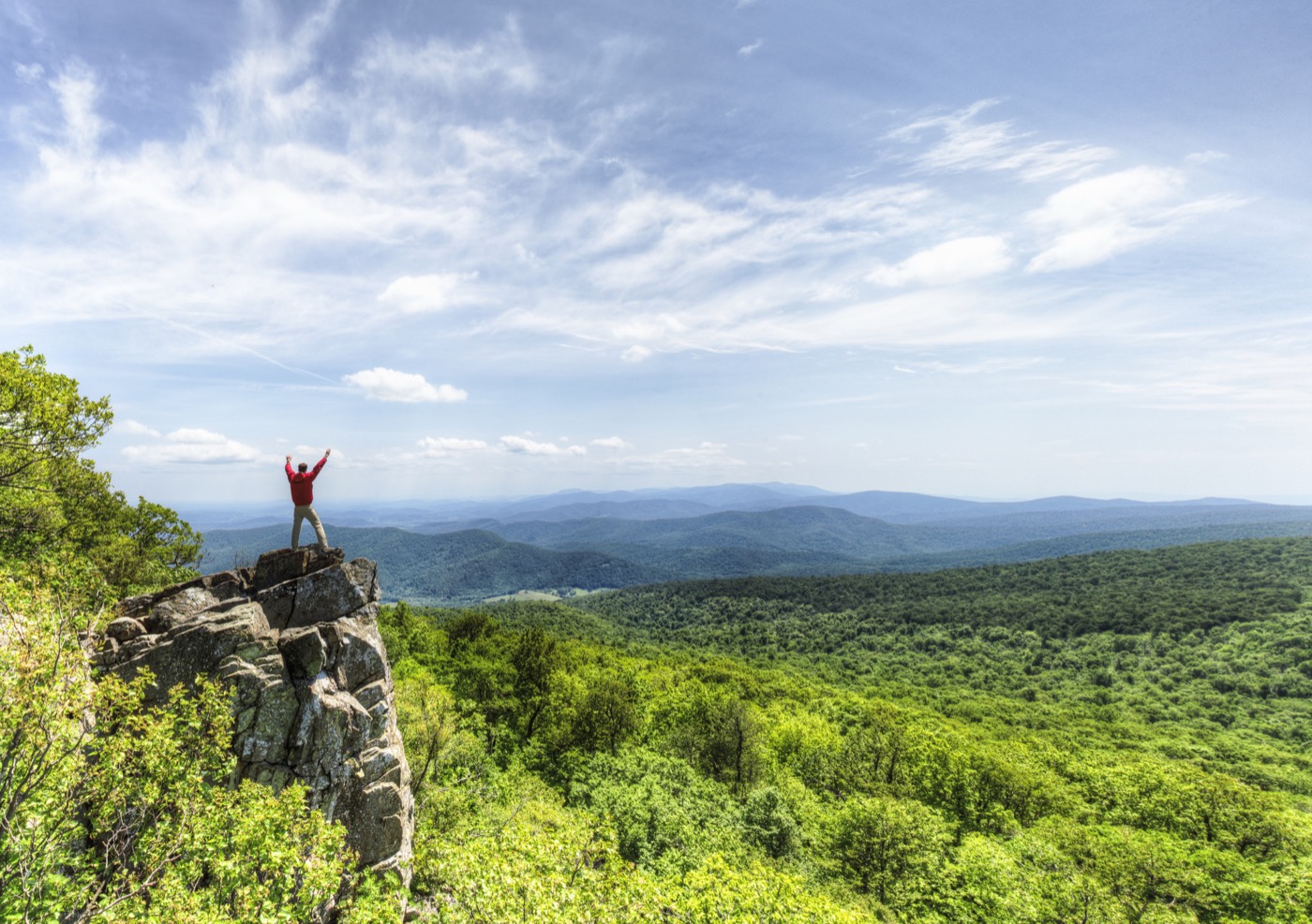 Shenandoah With a Dog