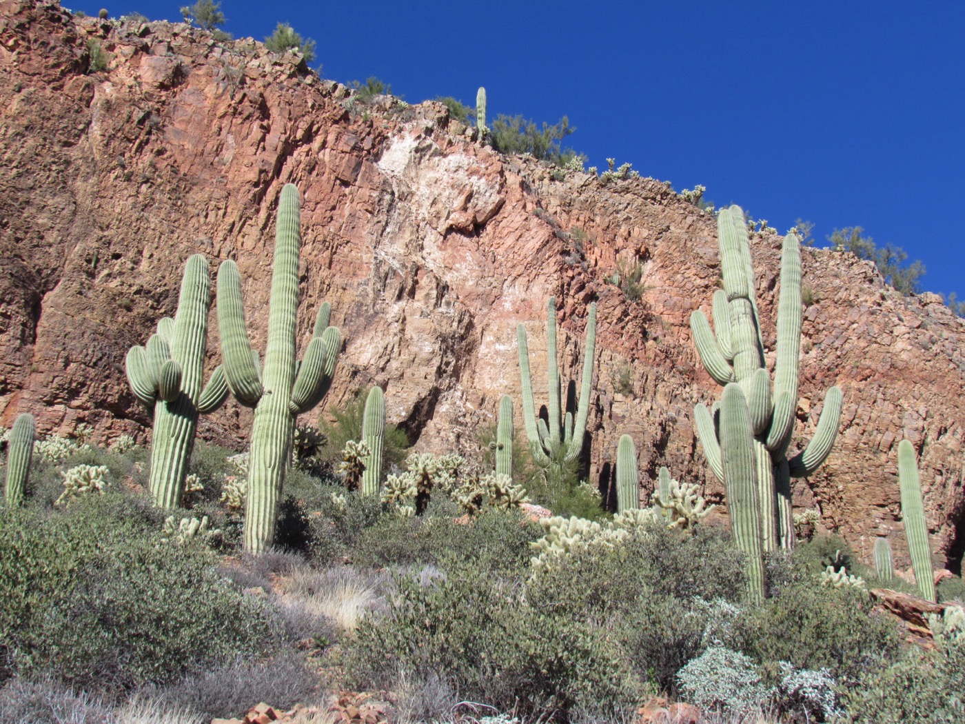 Is Tonto National Monument Worth Visiting?