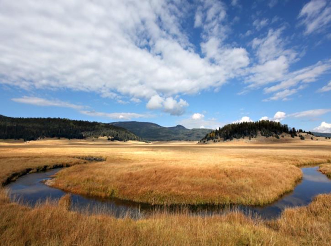 Is Valles Caldera Worth Visiting?