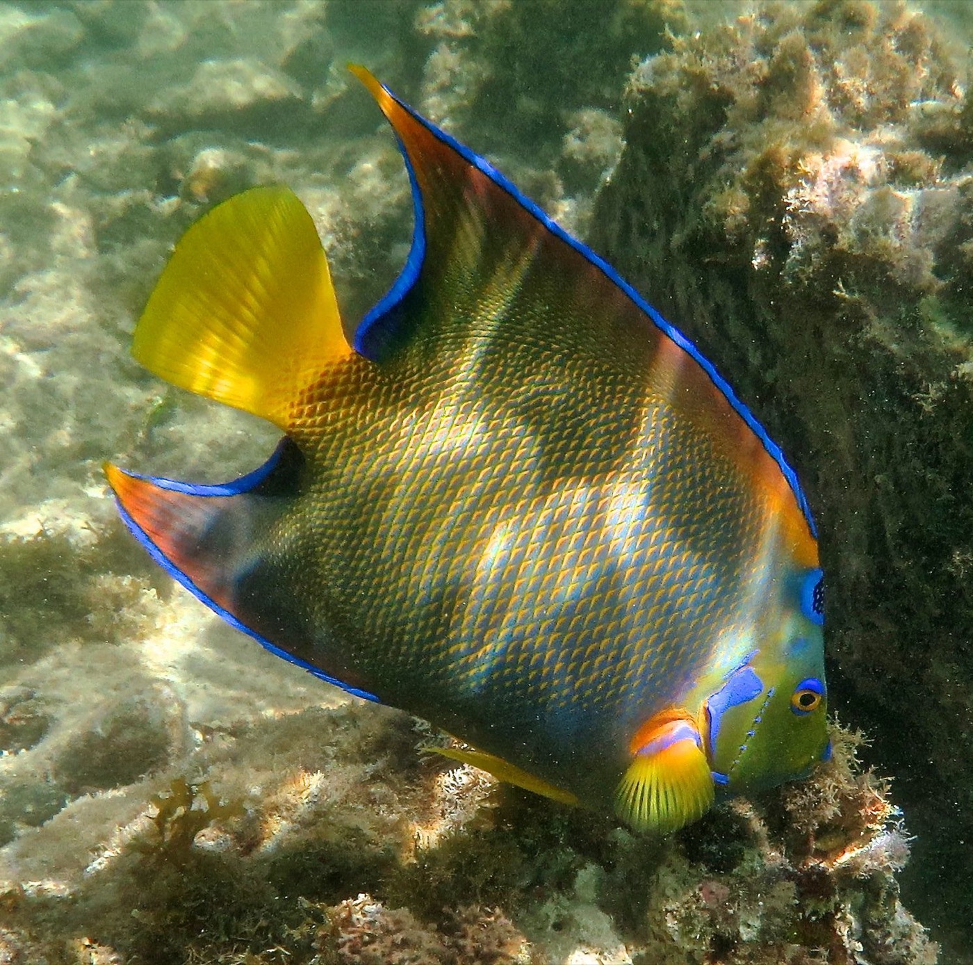 Is Virgin Islands National Park Worth Visiting?