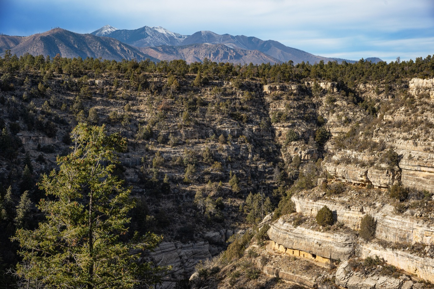 Is Walnut Canyon Worth Visiting?