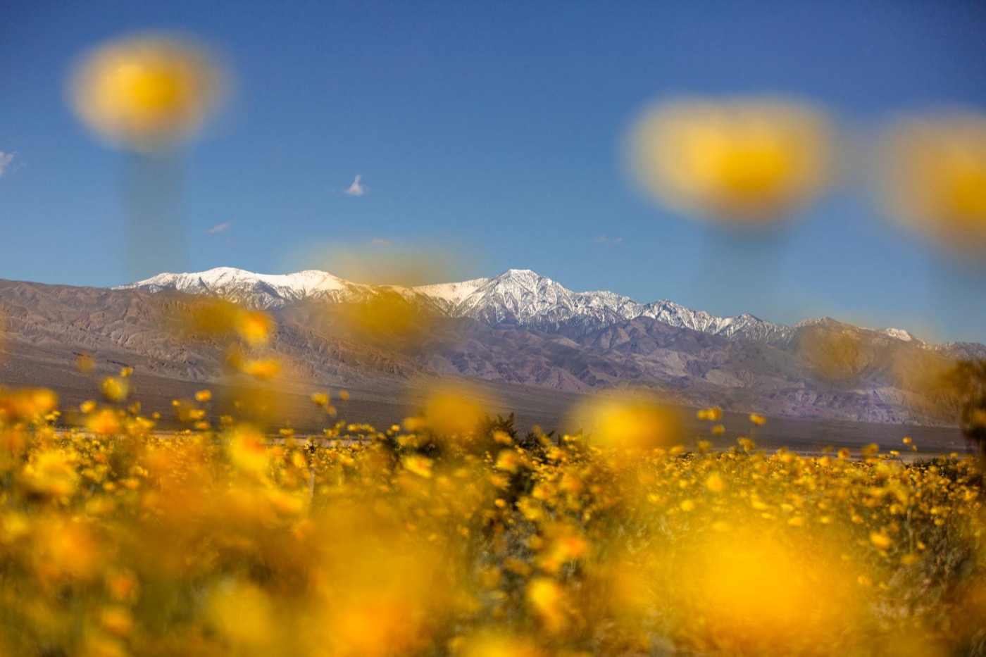 What to See in Death Valley in One Day
