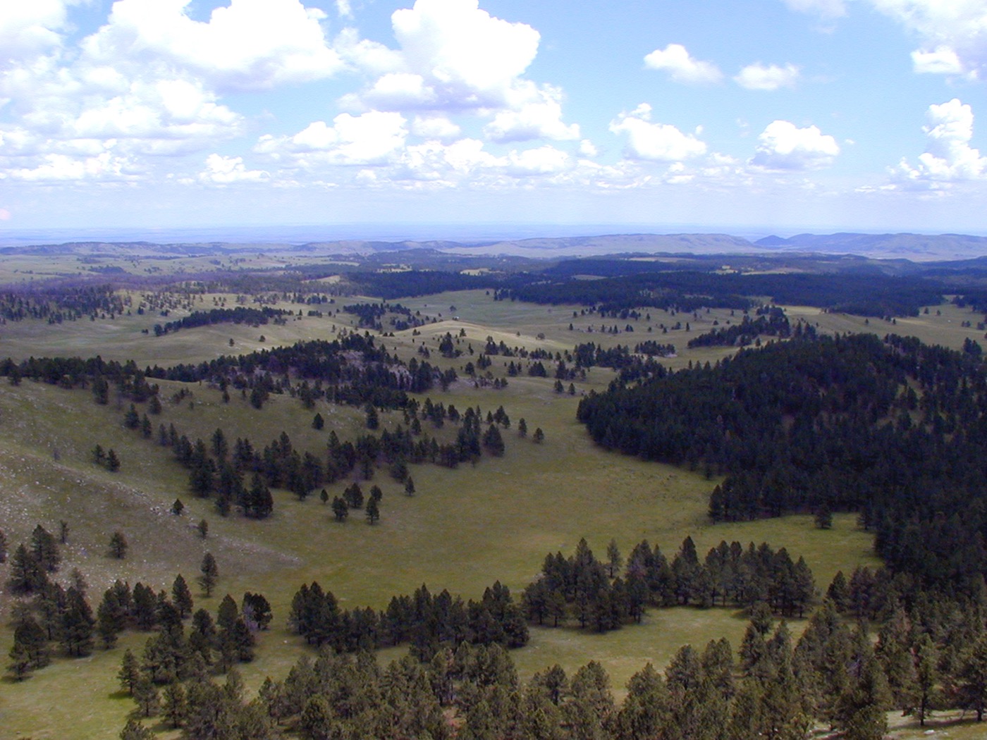 Is Wind Cave National Park Worth Visiting?