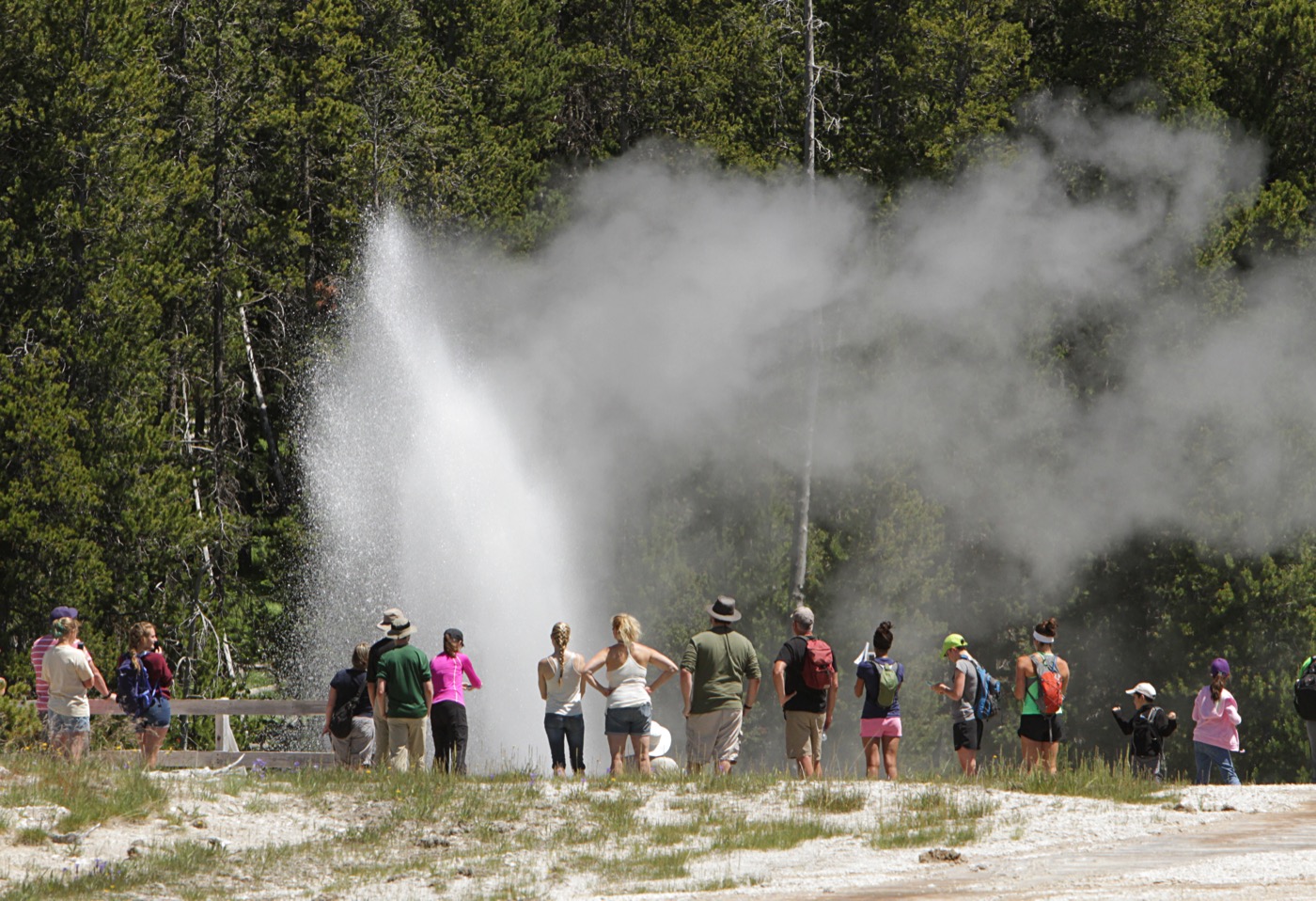 3 Days in Yellowstone With Kids