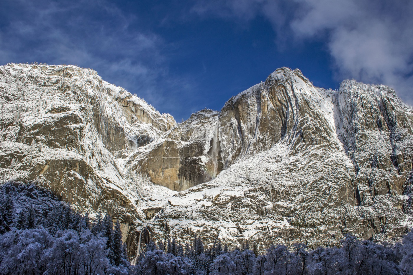 Is Yosemite Dog-Friendly?