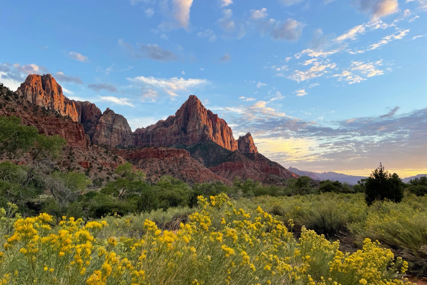 Is Zion Dog-Friendly?